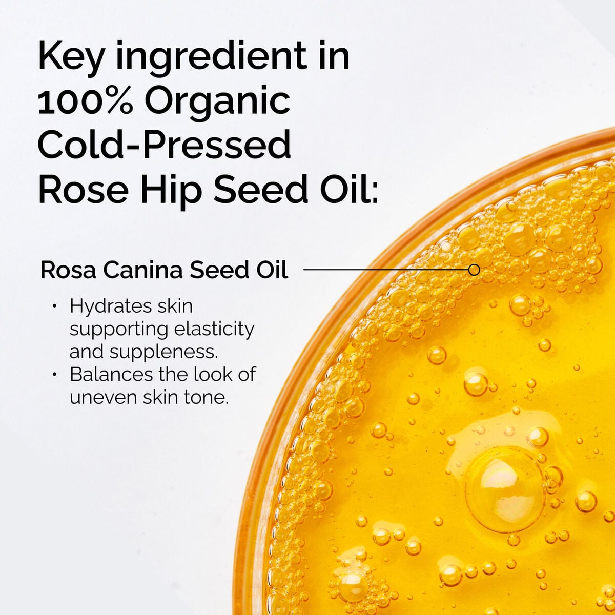 100-organic-cold-pressed-rose-hip-seed-oil-c7 FY25-D41247-ORD-Web-PDP-100-Rose-Hip-Oil-1x1-EN-2.jpg