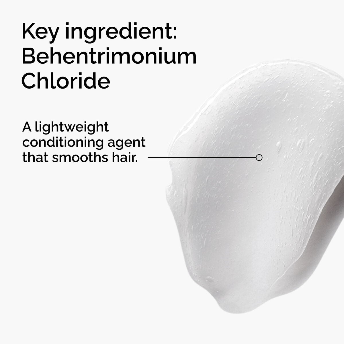 behentrimonium-chloride-2-conditioner-p2 FY25-D41247-ORD-Web-PDP-BTC-1x1-EN-2a.jpg