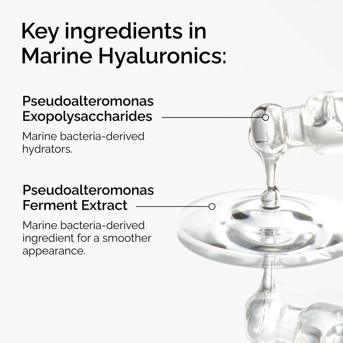 marine-hyaluronics-v7 FY25-D41247-ORD-Web-PDP-Marine-Hya-1x1-EN-2a.jpg
