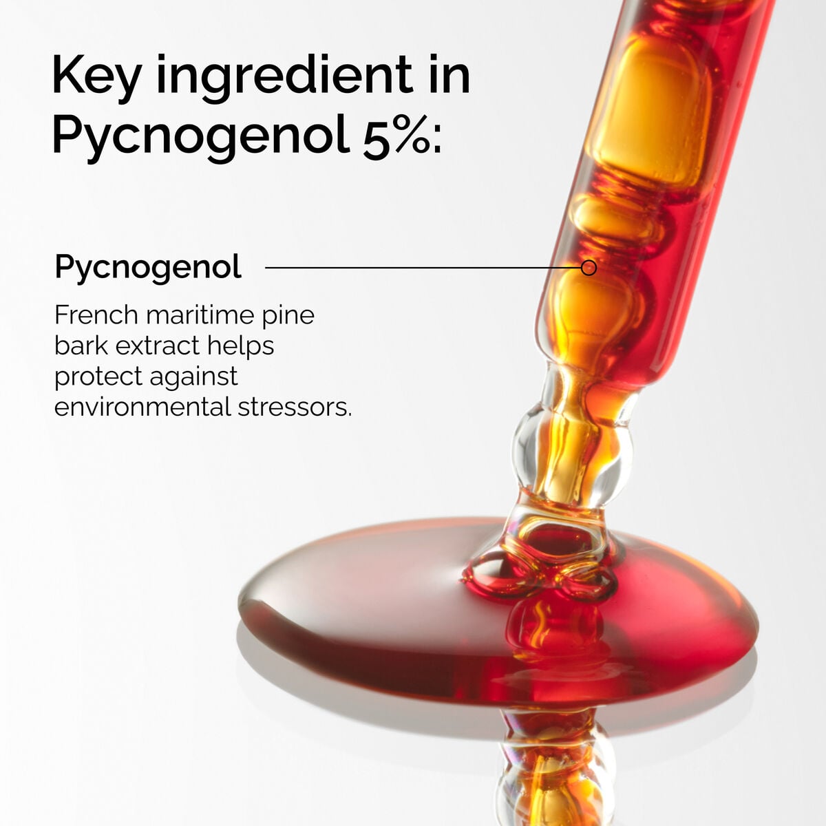 pycnogenol-5-u3 FY25-D41247-ORD-Web-PDP-Pyc-5pct-1x1-EN-2a.jpg