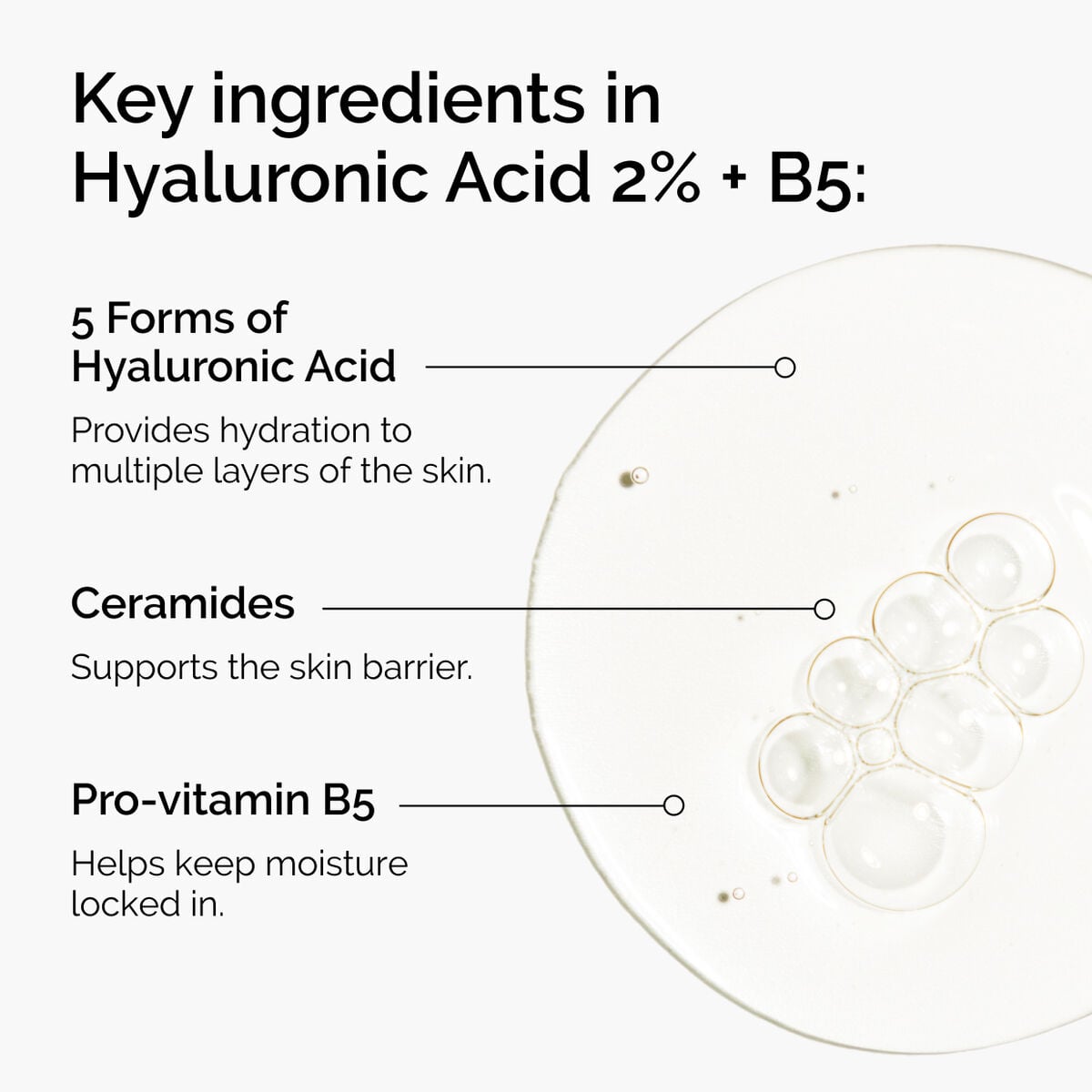 hyaluronic-acid-2-b5-with-ceramides-h2 ord-hyaluronic-acid-2pct-b5-hydrating-serum-ingredients-graphic.jpg
