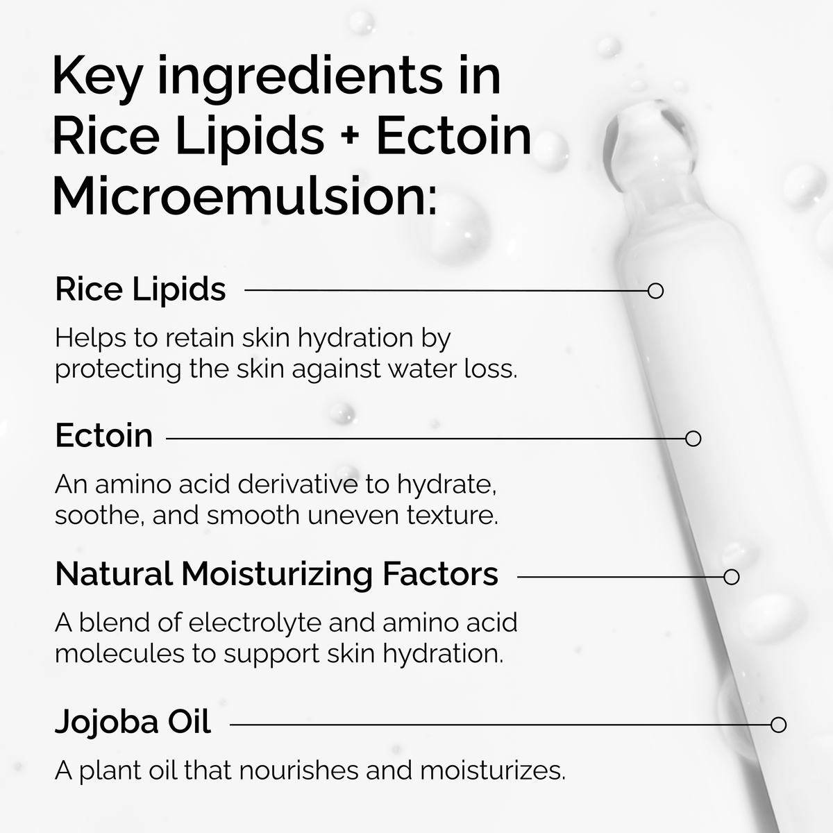 rice-lipids-ectoin-microemulsion-o4 ord-rice-lipids-ectoin-microemulsion-key-ingredients.png