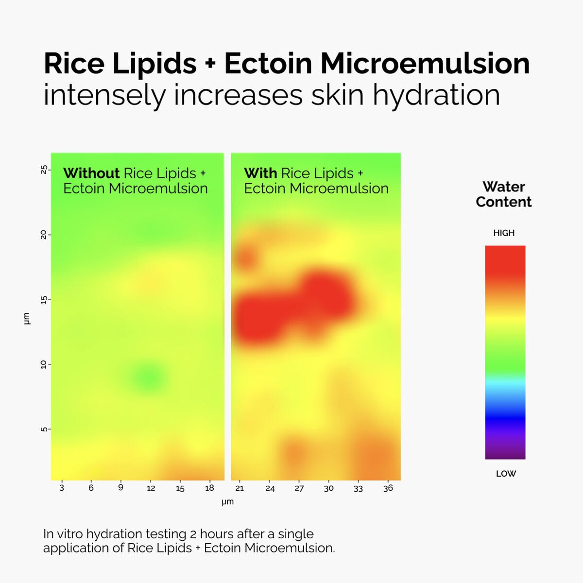 rice-lipids-ectoin-microemulsion-o4 ord-rice-lipids-ectoin-microemulsion-thermal-before-after.jpg